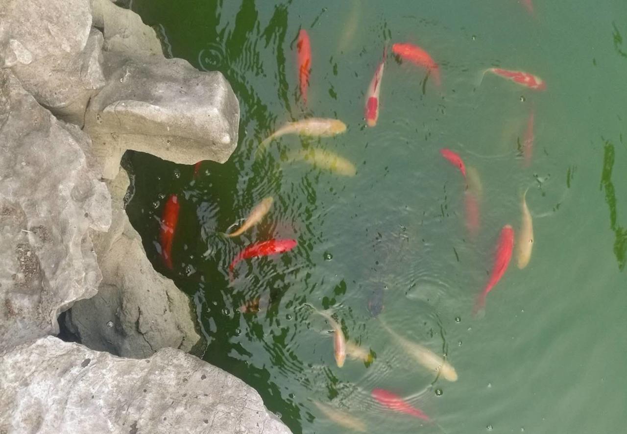 Pure-Land Villa Suzhou  Dış mekan fotoğraf